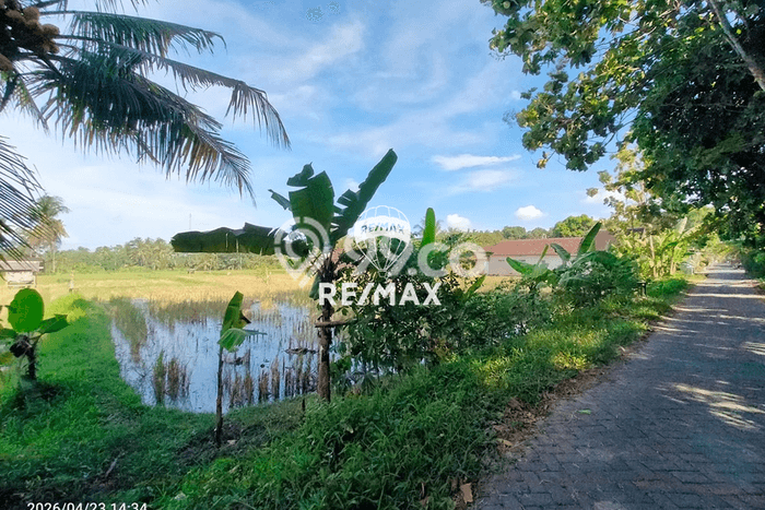 Kavling Tanah Dijual di Glagah Banyuwangi Spesifikasi 900m2 Kavling Tanah Dijual di Glagah Banyuwangi Spesifikasi 900m2