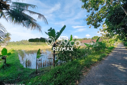Kavling Tanah Dijual di Glagah Banyuwangi Spesifikasi 900m2 Kavling Tanah Dijual di Glagah Banyuwangi Spesifikasi 900m2