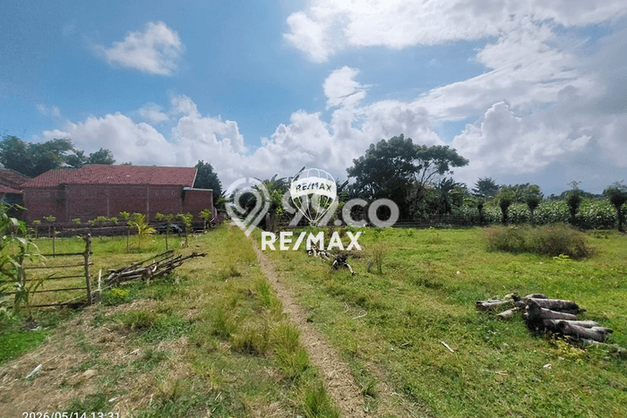Lahan Investasi Lokasi Banyuwangi Banyuwangi SHM Lahan Investasi Lokasi Banyuwangi Banyuwangi SHM