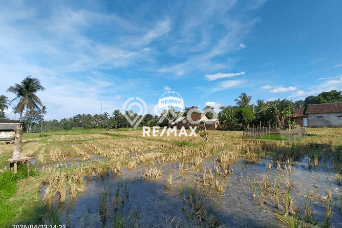 Kavling Tanah Dijual di Glagah Banyuwangi Spesifikasi 900m2 Kavling Tanah Dijual di Glagah Banyuwangi Spesifikasi 900m2
