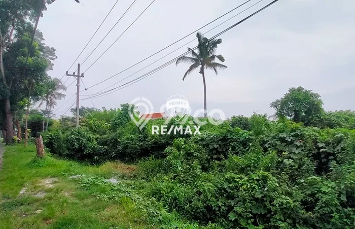 Tanah di Kabat, Banyuwangi Luas 28000m2 Dijual Segera Tanah di Kabat, Banyuwangi Luas 28000m2 Dijual Segera