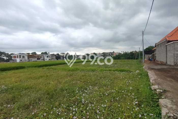 Tanah di Cemagi, Badung Luas 3500m2 Dijual Segera Tanah di Cemagi, Badung Luas 3500m2 Dijual Segera