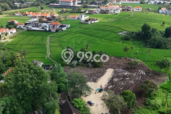 Tanah di Cemagi, Badung Luas 3370m2 Dijual Segera Tanah di Cemagi, Badung Luas 3370m2 Dijual Segera