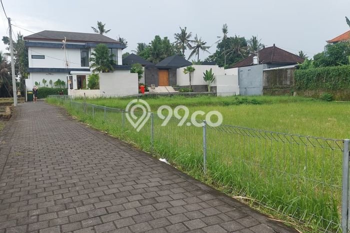 Tanah Dijual Lokasi Ubud, Gianyar Luas 980m2 Legalitas Aman Tanah Dijual Lokasi Ubud, Gianyar Luas 980m2 Legalitas Aman