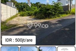 Tanah Investasi Dijual di Badung Punya Luas 400m2 Tanah Investasi Dijual di Badung Punya Luas 400m2