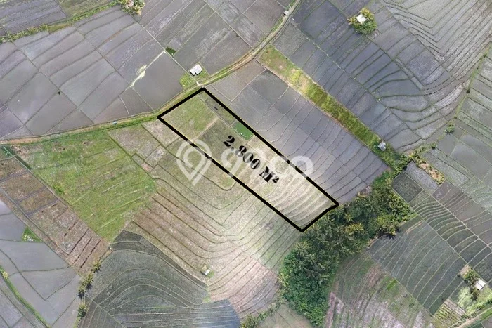 Tanah Dijual di Tabanan Seluas 2800m2 Strategis Tanah Dijual di Tabanan Seluas 2800m2 Strategis