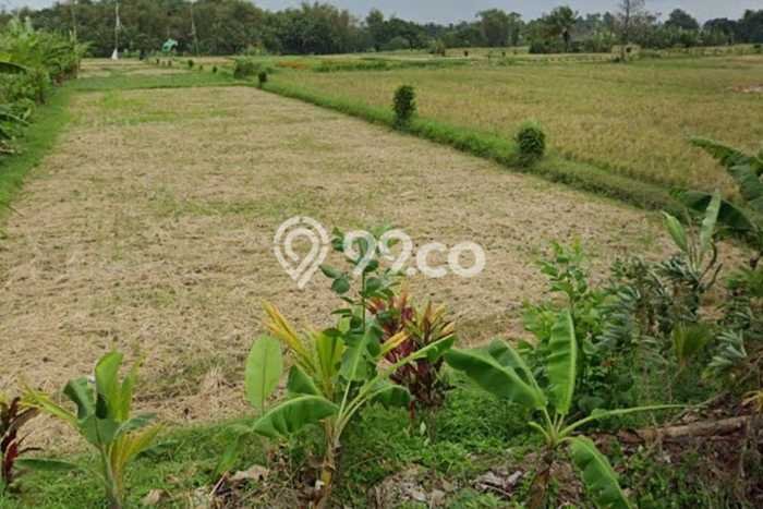 Tanah Dijual di Tabanan Seluas 2800m2 Strategis Tanah Dijual di Tabanan Seluas 2800m2 Strategis