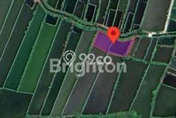 Lahan untuk Dijual di Lamongan Lamongan Luas 2200m2 Lahan untuk Dijual di Lamongan Lamongan Luas 2200m2