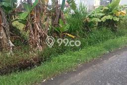Tanah Kavling Dijual di Sanur, Denpasar dengan Luas Tanah 600m2 Tanah Kavling Dijual di Sanur, Denpasar dengan Luas Tanah 600m2