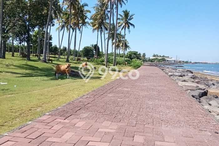 Kavling Tanah Dijual di Negara Jembrana Spesifikasi 1000m2 Kavling Tanah Dijual di Negara Jembrana Spesifikasi 1000m2