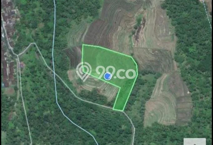 Lahan Dijual Lokasi Penebel, Tabanan dengan Luas Tanah 8720m2 dan Status SHM Lahan Dijual Lokasi Penebel, Tabanan dengan Luas Tanah 8720m2 dan Status SHM
