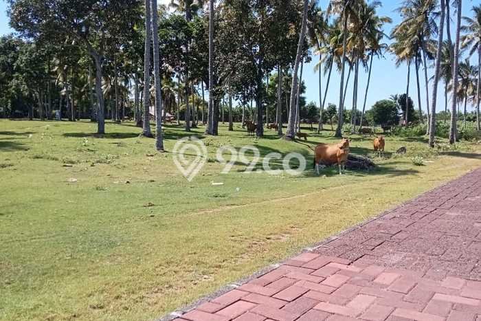 Kavling Tanah Dijual di Negara Jembrana Spesifikasi 1000m2 Kavling Tanah Dijual di Negara Jembrana Spesifikasi 1000m2