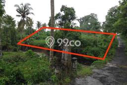 Kavling Tanah di Selemadeg Dijual Luas 4200m2 Legalitas SHM Kavling Tanah di Selemadeg Dijual Luas 4200m2 Legalitas SHM