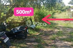 Kavling Tanah untuk Dijual di Kutuh, Badung, Luas 500m2 Kavling Tanah untuk Dijual di Kutuh, Badung, Luas 500m2
