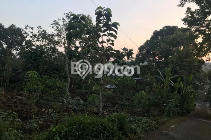 Lahan Dijual Lokasi Mojogedang, Karanganyar dengan Luas Tanah 1620m2 dan Status SHM Lahan Dijual Lokasi Mojogedang, Karanganyar dengan Luas Tanah 1620m2 dan Status SHM