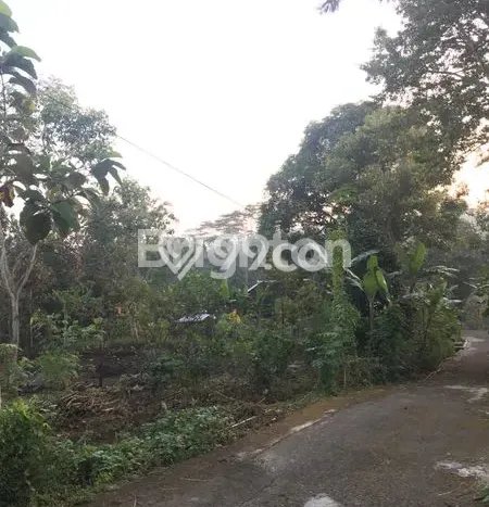 Lahan Dijual Lokasi Mojogedang, Karanganyar dengan Luas Tanah 1620m2 dan Status SHM Lahan Dijual Lokasi Mojogedang, Karanganyar dengan Luas Tanah 1620m2 dan Status SHM