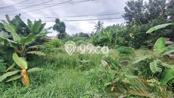 Tanah Dijual Lokasi Gunung Sindur, Bogor Luas 8000m2 Legalitas Aman Tanah Dijual Lokasi Gunung Sindur, Bogor Luas 8000m2 Legalitas Aman