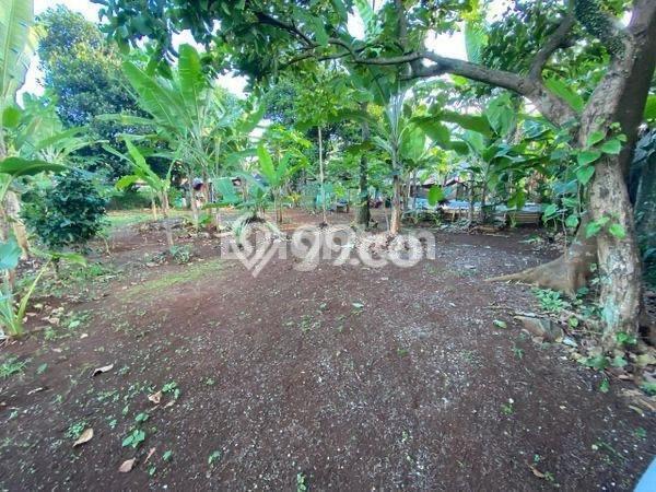 Tanah Dijual Lokasi Gunung Sindur, Bogor dengan Luas Tanah 953m2 dan Status SHM Tanah Dijual Lokasi Gunung Sindur, Bogor dengan Luas Tanah 953m2 dan Status SHM