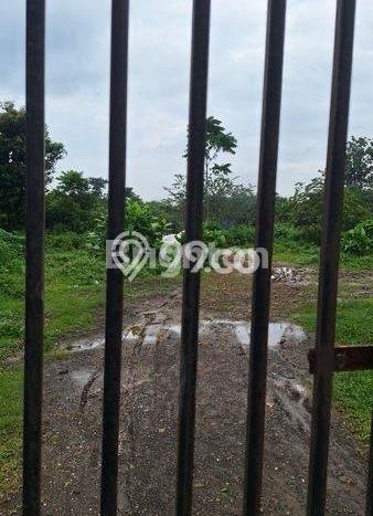 Lahan Dijual Lokasi Gunung Sindur, Bogor dengan Luas Tanah 10000m2 dan Status - Lahan Dijual Lokasi Gunung Sindur, Bogor dengan Luas Tanah 10000m2 dan Status -