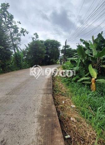 Tanah Dijual Lokasi Gunung Sindur, Bogor Luas 8000m2 Legalitas Aman Tanah Dijual Lokasi Gunung Sindur, Bogor Luas 8000m2 Legalitas Aman
