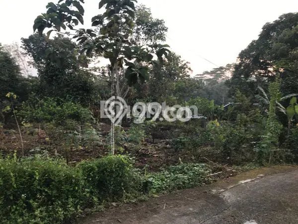 Lahan Dijual Lokasi Mojogedang, Karanganyar dengan Luas Tanah 1620m2 dan Status SHM Lahan Dijual Lokasi Mojogedang, Karanganyar dengan Luas Tanah 1620m2 dan Status SHM