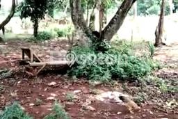 Tanah Dijual Lokasi Setu, Bekasi dengan Luas Tanah 2540m2 dan Status SHM Tanah Dijual Lokasi Setu, Bekasi dengan Luas Tanah 2540m2 dan Status SHM