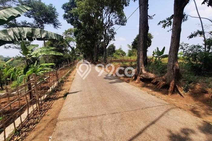 Tanah Investasi Dijual di Bandung Punya Luas 90m2 Tanah Investasi Dijual di Bandung Punya Luas 90m2