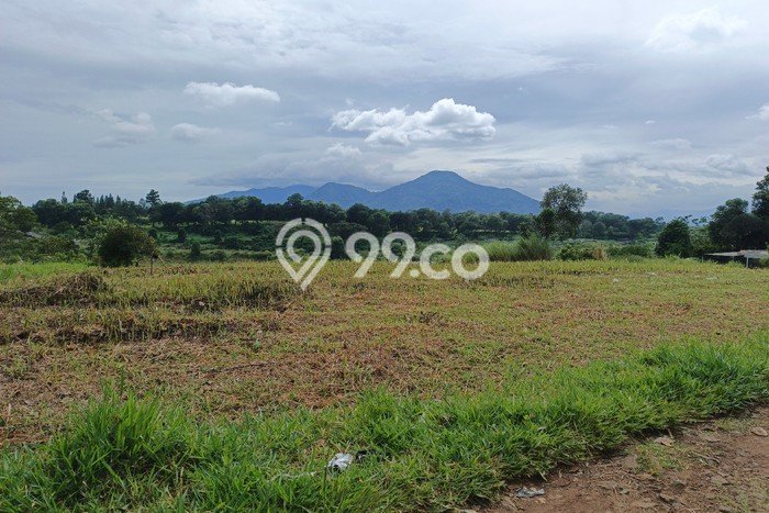 Lahan Investasi Lokasi Jatinangor Sumedang SHM Lahan Investasi Lokasi Jatinangor Sumedang SHM