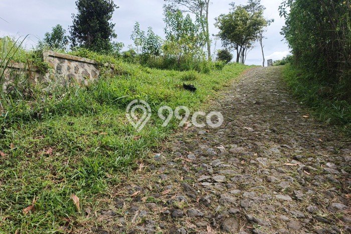 Lahan Investasi Lokasi Jatinangor Sumedang SHM Lahan Investasi Lokasi Jatinangor Sumedang SHM
