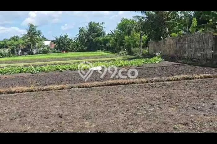 Lahan Kosong Dijual di Tangerang dengan Area 5007m2 Lahan Kosong Dijual di Tangerang dengan Area 5007m2