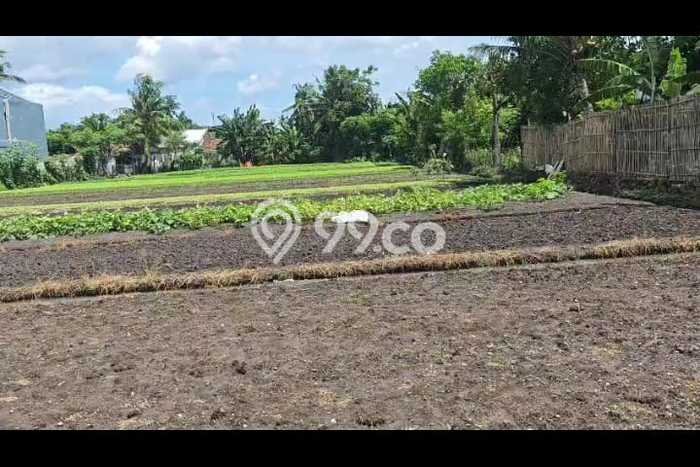Lahan Kosong Dijual di Tangerang dengan Area 5007m2 Lahan Kosong Dijual di Tangerang dengan Area 5007m2