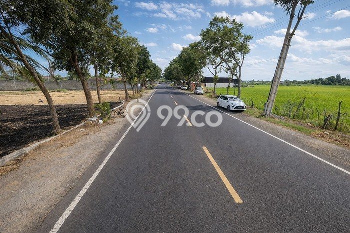 Tanah di Bantul, Bantul Luas 1582m2 Dijual Segera Tanah di Bantul, Bantul Luas 1582m2 Dijual Segera