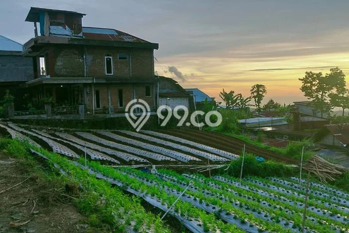 Tanah Dijual Lokasi Tawangmangu, Karanganyar Luas 700m2 Legalitas Aman Tanah Dijual Lokasi Tawangmangu, Karanganyar Luas 700m2 Legalitas Aman