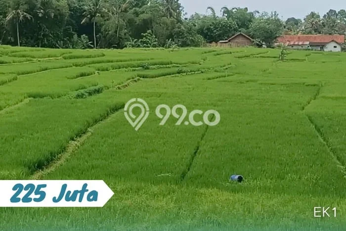 Lahan Investasi Lokasi Karangpandan Karanganyar - Lahan Investasi Lokasi Karangpandan Karanganyar -