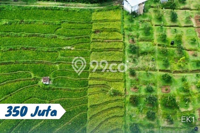 Tanah Komersial Dijual di Karangpandan Karanganyar 350m2 Tanah Komersial Dijual di Karangpandan Karanganyar 350m2