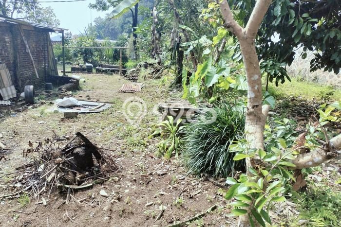 Tanah Komersial Dijual di Karangpandan Karanganyar 250m2 Tanah Komersial Dijual di Karangpandan Karanganyar 250m2