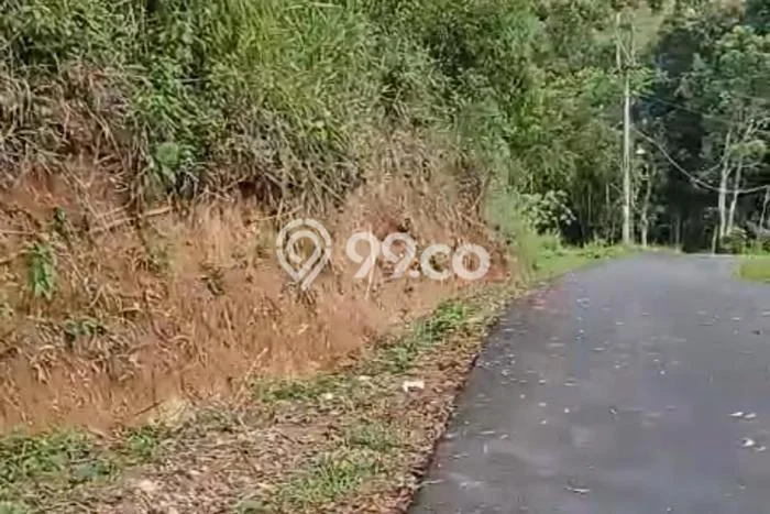 Tanah Komersial Dijual di Karangpandan Karanganyar 3800m2 Tanah Komersial Dijual di Karangpandan Karanganyar 3800m2