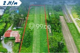 Kavling Tanah Dijual di Kalasan Sleman Spesifikasi 5000m2 Kavling Tanah Dijual di Kalasan Sleman Spesifikasi 5000m2