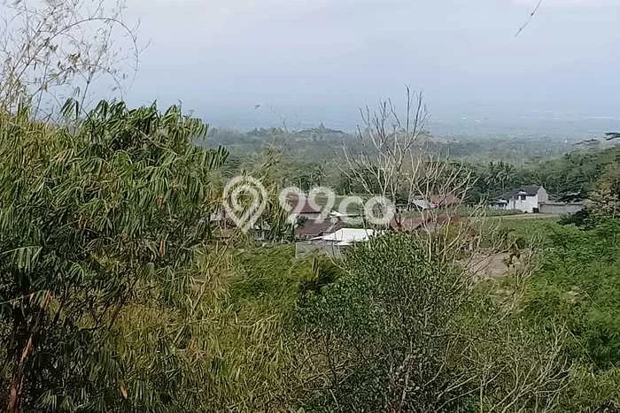 Untuk Dijual Tanah di Borobudur Magelang Luas 50000m2 SHM Untuk Dijual Tanah di Borobudur Magelang Luas 50000m2 SHM