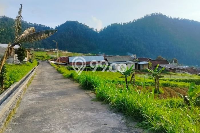 Tanah Dijual Lokasi Tawangmangu, Karanganyar dengan Luas Tanah 392m2 dan Status SHM Tanah Dijual Lokasi Tawangmangu, Karanganyar dengan Luas Tanah 392m2 dan Status SHM