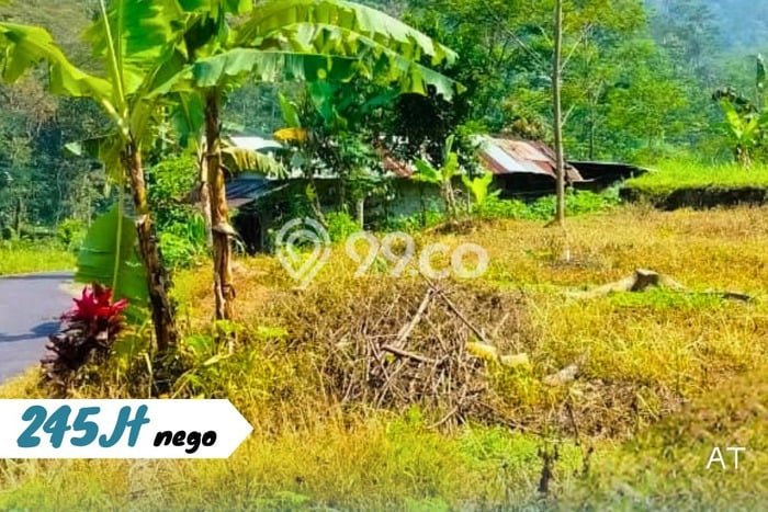 Tanah Kavling untuk Dijual di Tawangmangu Karanganyar 456m2 Tanah Kavling untuk Dijual di Tawangmangu Karanganyar 456m2