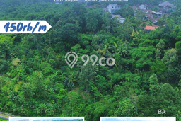 Tanah di Tuntang, Semarang Luas 50000m2 Dijual Segera Tanah di Tuntang, Semarang Luas 50000m2 Dijual Segera