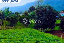 Untuk Dijual Tanah di Ngargoyoso Karanganyar Luas 225m2 SHM Untuk Dijual Tanah di Ngargoyoso Karanganyar Luas 225m2 SHM