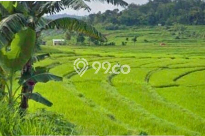 Lahan untuk Dijual di Karangpandan Karanganyar Luas 235m2 Lahan untuk Dijual di Karangpandan Karanganyar Luas 235m2