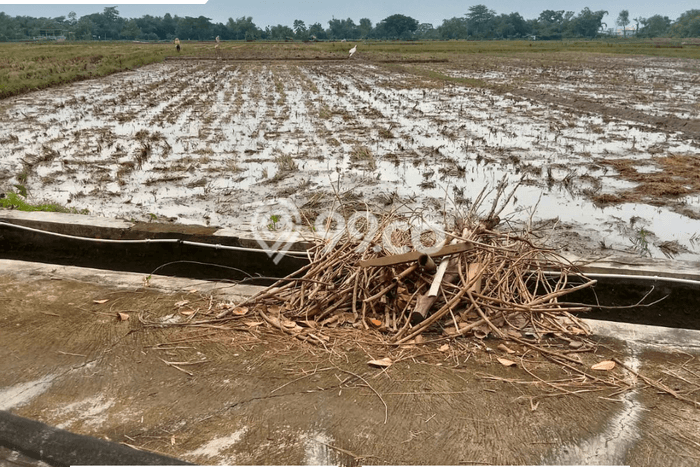 Tanah Dijual Lokasi Kebakkramat, Karanganyar Luas 1900m2 Legalitas Aman Tanah Dijual Lokasi Kebakkramat, Karanganyar Luas 1900m2 Legalitas Aman