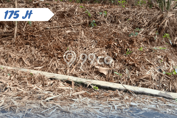 Tanah Dijual Lokasi Mojogedang, Karanganyar dengan Luas Tanah 675m2 dan Status SHM Tanah Dijual Lokasi Mojogedang, Karanganyar dengan Luas Tanah 675m2 dan Status SHM