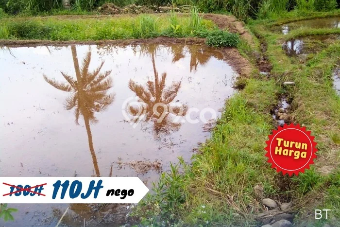 Tanah Dijual Lokasi Cisaat, Sukabumi dengan Luas Tanah 411m2 dan Status SHM Tanah Dijual Lokasi Cisaat, Sukabumi dengan Luas Tanah 411m2 dan Status SHM