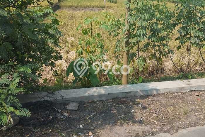 Tanah Dijual Lokasi Kebakkramat, Karanganyar dengan Luas Tanah 1590m2 dan Status SHM Tanah Dijual Lokasi Kebakkramat, Karanganyar dengan Luas Tanah 1590m2 dan Status SHM