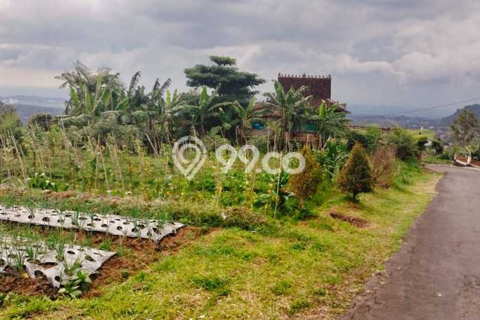 Tanah di Ngargoyoso, Karanganyar Luas 254m2 Dijual Segera Tanah di Ngargoyoso, Karanganyar Luas 254m2 Dijual Segera