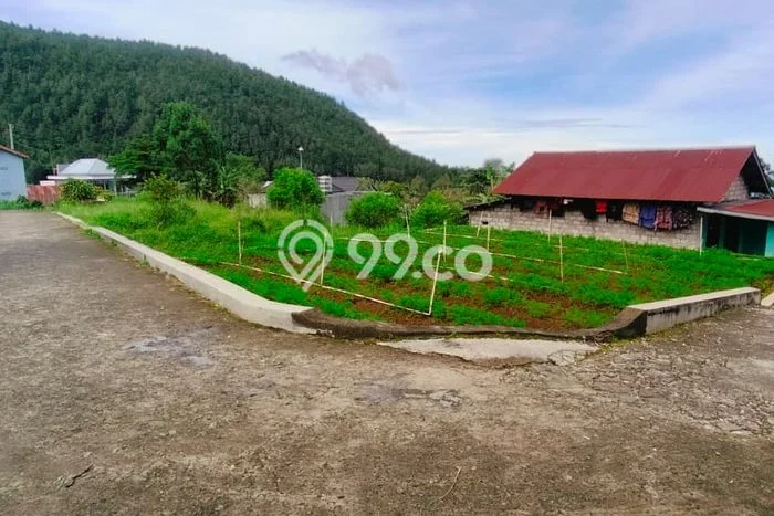 Lahan Dijual Lokasi Tawangmangu, Karanganyar dengan Luas Tanah 207m2 dan Status SHM Lahan Dijual Lokasi Tawangmangu, Karanganyar dengan Luas Tanah 207m2 dan Status SHM